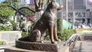 Inilah Foto Terakhir Hachiko, Si Anjing Legendaris