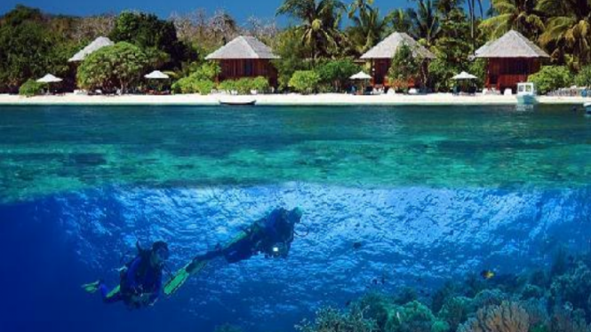 Ilustrasi-Kawasan laut Pulau Wakatobi