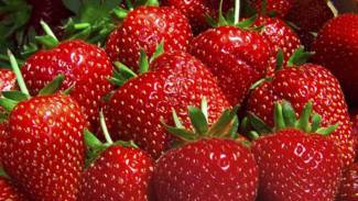 Manfaat Buah Strawberry