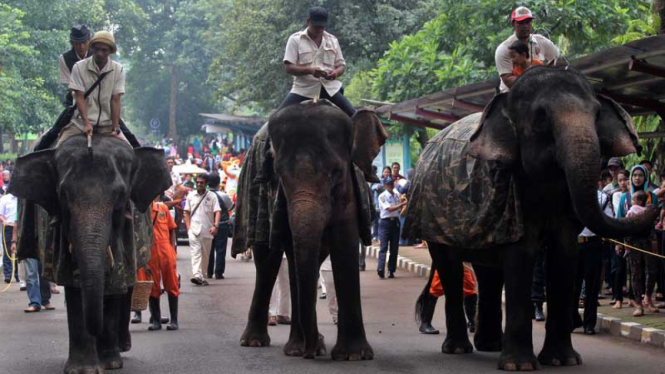 Parade Satwa Taman Margasatwa Ragunan 2014