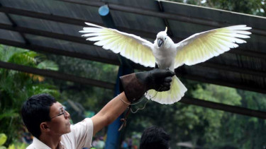 Kebun Binatang Ragunan