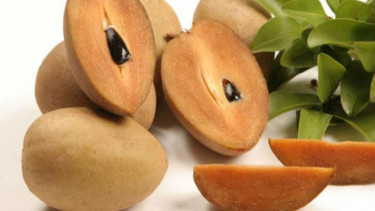  Buah sawo