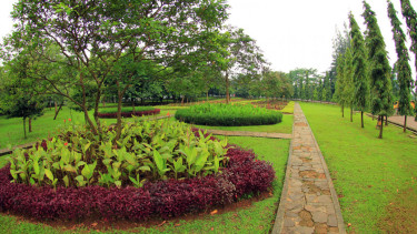 Taman Cattleya