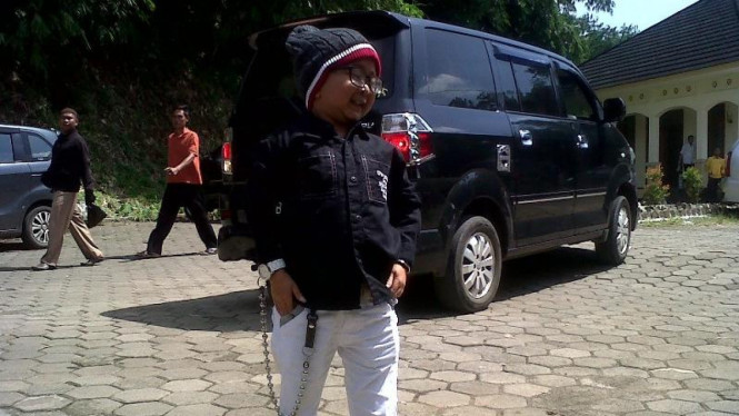 Daus Mini