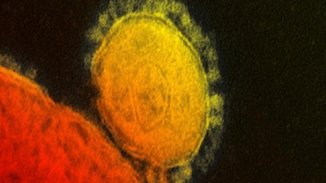 Virus MERS