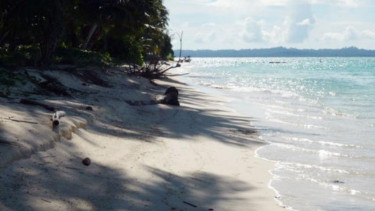 Pulau Banyak