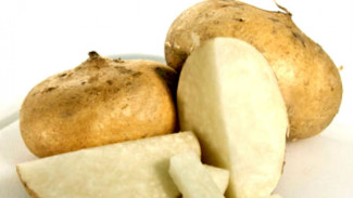 7 Makanan Khas Kebumen, Cita Rasa Asli yang Perlu Dicoba