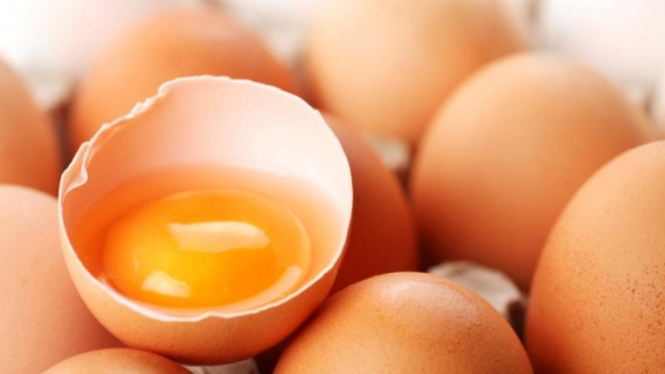Ilustrasi telur