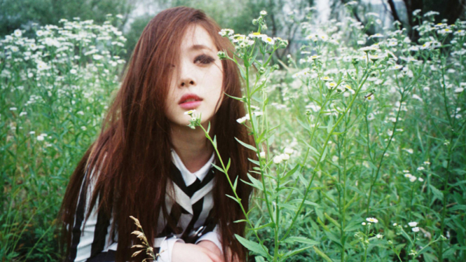 Sulli