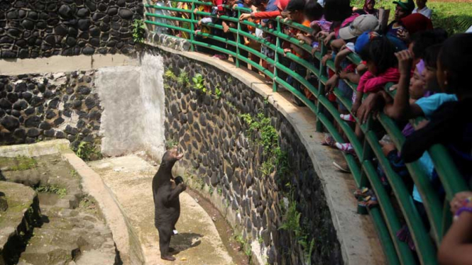 Libur Lebaran, Ragunan Dipadati Pengunjung