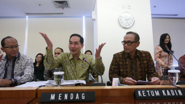 Mendag Muhammad Lutfi Saat Kerjasama Dengan Suryo Bambang Sulisto Kadin