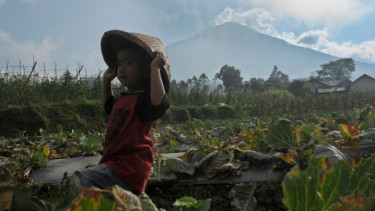Warga di sekitar Gunung Slamet
