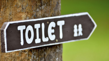 Ilustrasi toilet atau WC