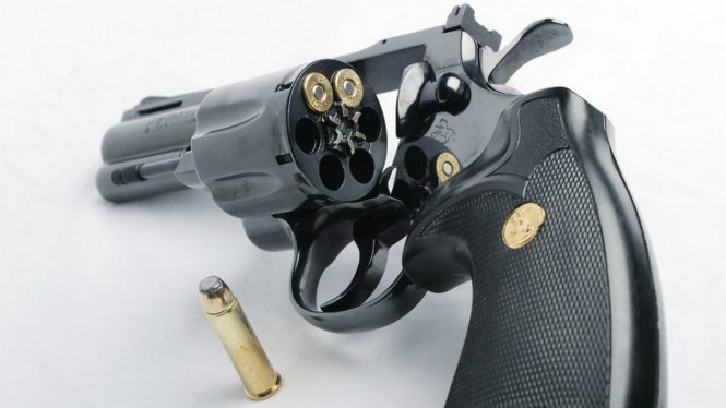Ilustrasi pistol.