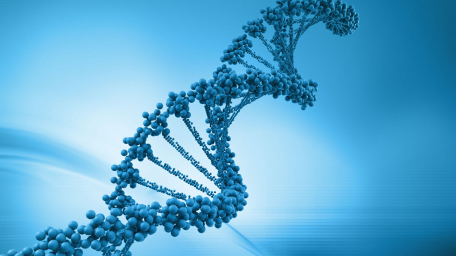 Ilustrasi DNA