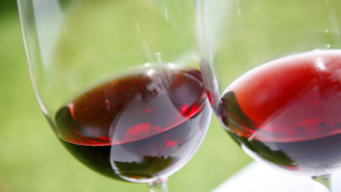 Ilustrasi red wine atau anggur merah