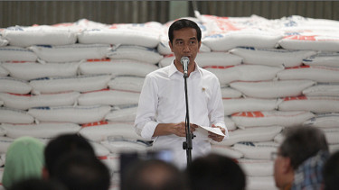 Presiden Jokowi Tinjau Gudang Bulok