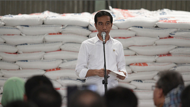 Presiden Jokowi Tinjau Gudang Bulok