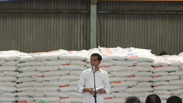 Presiden Jokowi Tinjau Gudang Bulok
