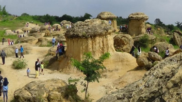 Wisata bukit jamur
