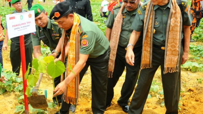 TNI Bangun Pertahanan Alami di Perbatasan RI-Malaysia