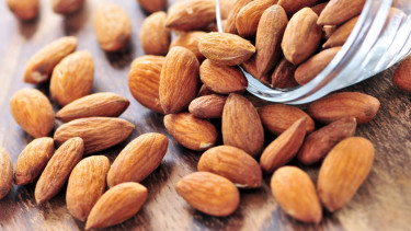 Ilustrasi kacang almond