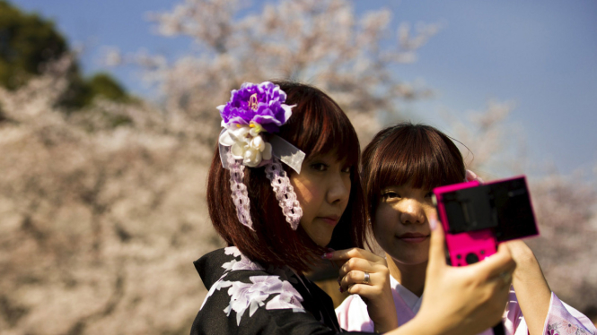 Menikmati Bunga Sakura