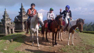 Sensasi berkuda menyusur Candi Gedong Songo