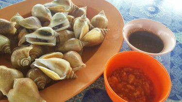 Gonggong, siput laut khas Kepulauan Riau.