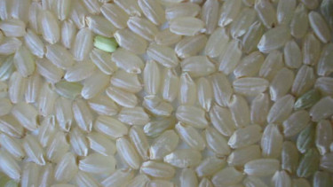sorot beras plastik