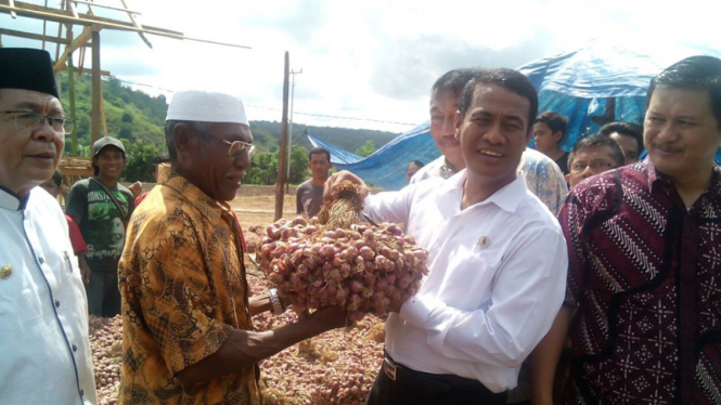 Menteri Pertanian Andi Amran Sulaiman meninjau panen raya bawang merah