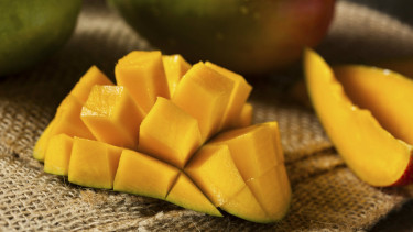 Ilustrasi mangga