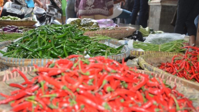 Harga cabai rawit merah