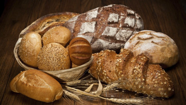 Ilustrasi roti