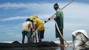 Para pengumpul batu bara