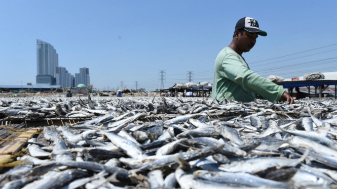 Pekerja mengeringkan ikan asin