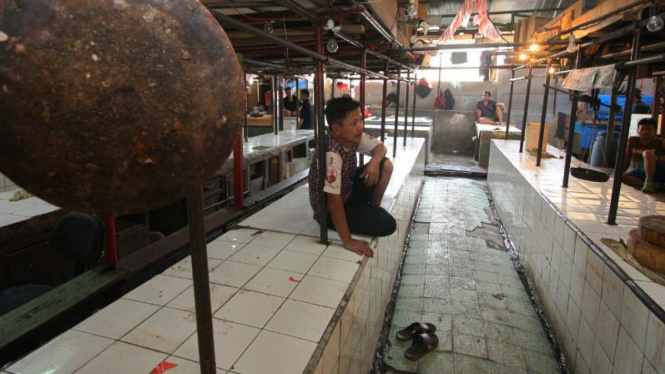 Pedagang sapi mogok jualan