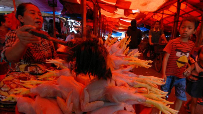 Pedagang ayam potong