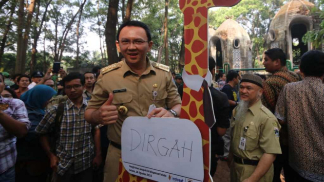 Dua jerapah dari Australia tiba di Kebun Binatang Ragunan