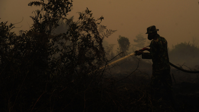 Pemadaman Kebakaran Hutan di Jambi