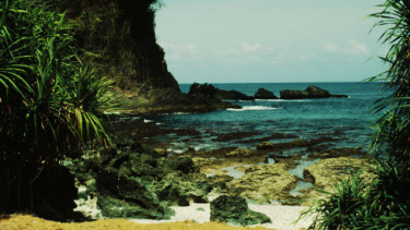 Sungai Cigenter merupakan sungai yang terdapat dalam Pulau Handeuleum, sebuah pulau kecil di gugusan Pulau Taman Nasional Ujung Kulon. 
