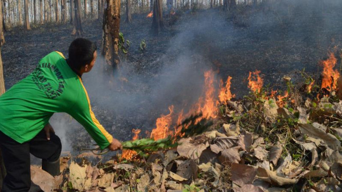 Kebakaran lahan dan hutan