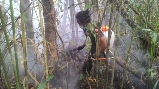 Pemadaman titik api di Pematang Gadung. Foto dok. MRA/Yayasan Palung