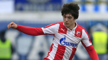 Striker Red Star Belgrade, Luka Jovic