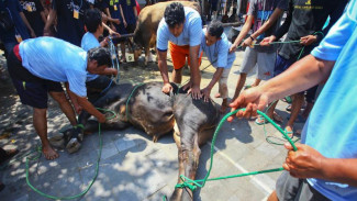Selamat Idul Adha, Mari Tingkatkan Solidaritas Kemanusiaan dan Kedermawanan