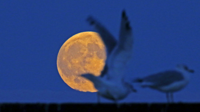 Fenomena Supermoon 2015 di Berbagai Belahan Dunia