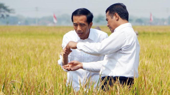 Presiden Jokowi dan Mentan Andi Amran Sulaiman.