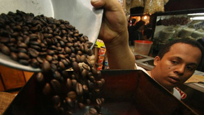 sorot kopi