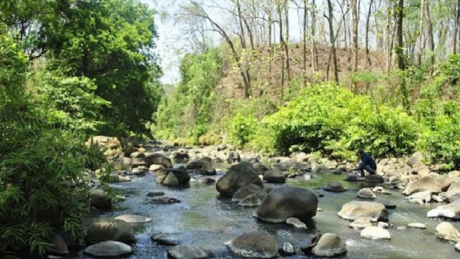 Hutan Ketonggo