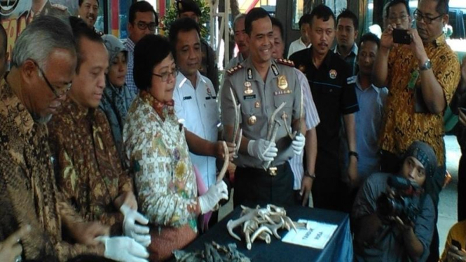 Penemuan potongan tubuh hewan langka